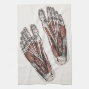 Linge De Cuisine Empreinte de pied d'anatomie humaine vintage Podol