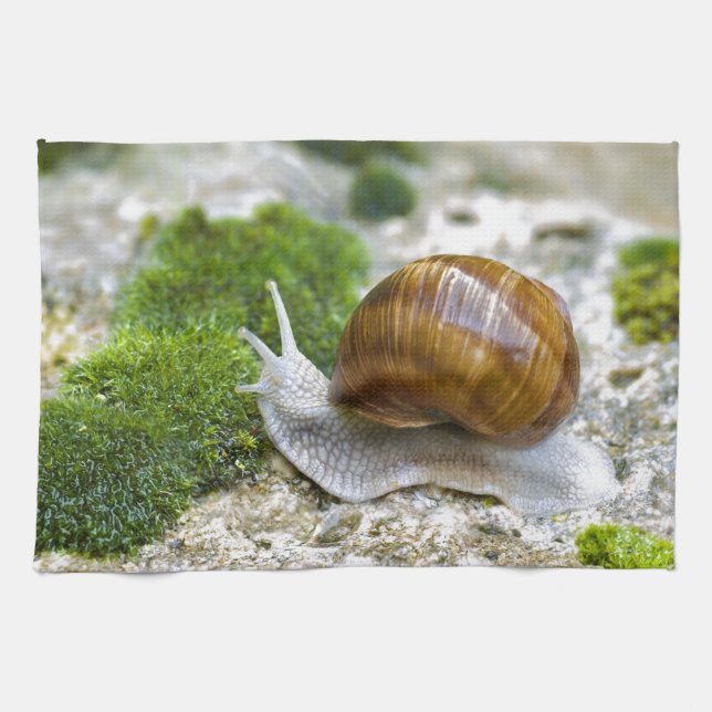 Linge De Cuisine Escargot de Bourgogne (Horizontal)