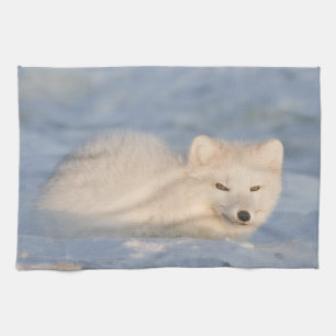 Linge De Cuisine États-Unis, Alaska, Fox