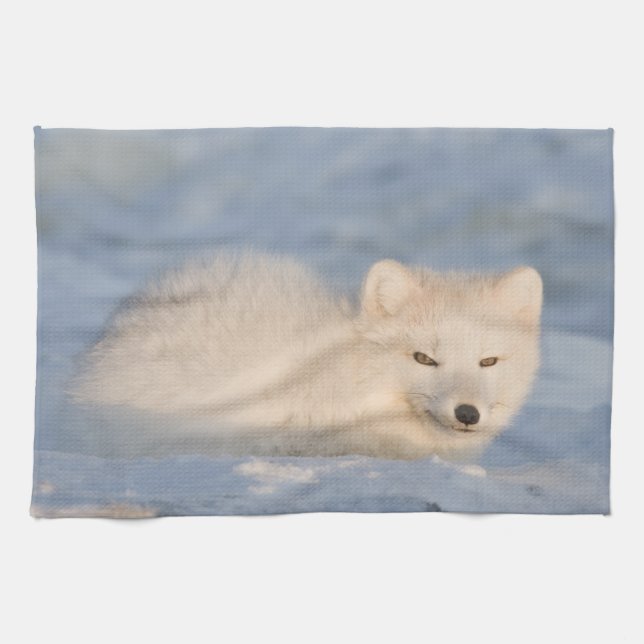 Linge De Cuisine États-Unis, Alaska, Fox (Horizontal)