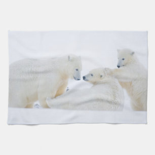 Linge De Cuisine États-Unis, Alaska, plaine côtière de l'Arctique 1