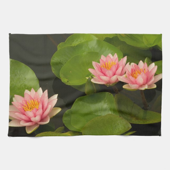 Linge De Cuisine États-Unis, DC, Washington, Kenilworth 4 (Horizontal)