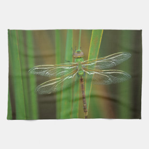 Linge De Cuisine États-Unis, Géorgie. Libellule aeshne vert sur des