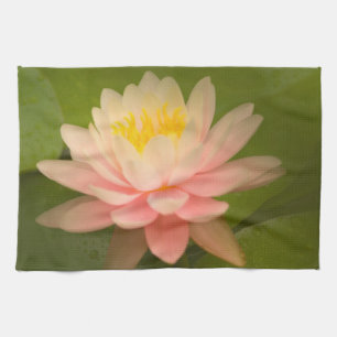 Linge De Cuisine États-Unis, Maryland, Westminster, Union