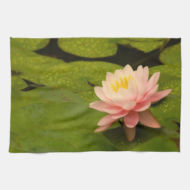 Linge De Cuisine États-Unis, Maryland, Westminster, Union 2 (Horizontal)