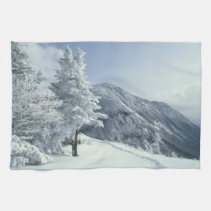 Linge De Cuisine États-Unis, NH, Arbres couverts de neige Sentiers