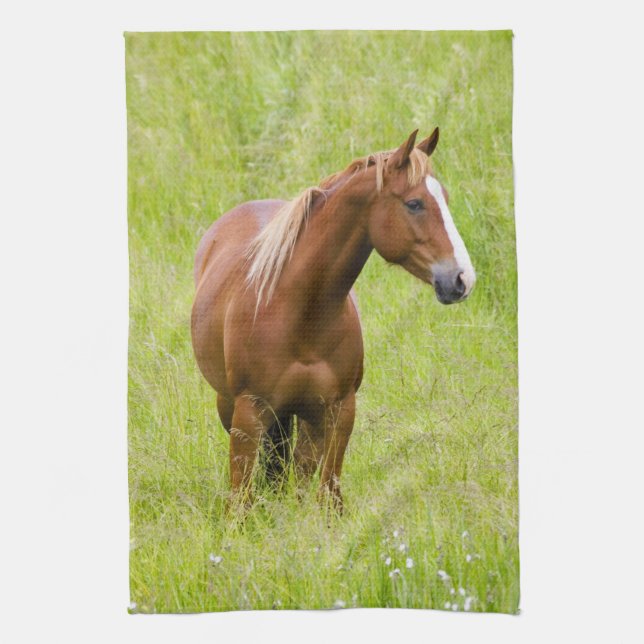 Linge De Cuisine États-Unis, Washington, Cheval dans un champ print (Vertical)