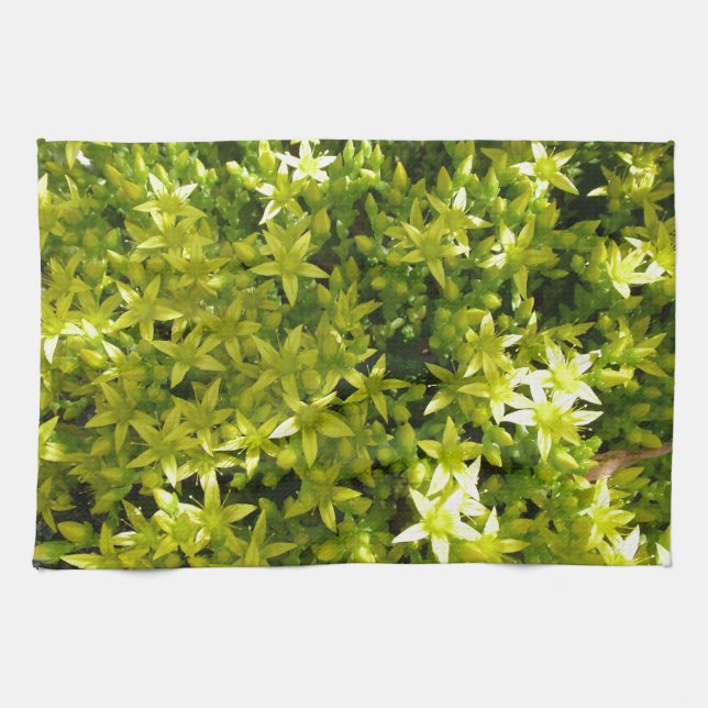 Linge De Cuisine étoile verte comme fleurs plante herbacé (Horizontal)