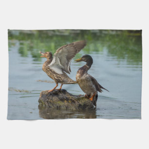 Linge De Cuisine Excusez-moi