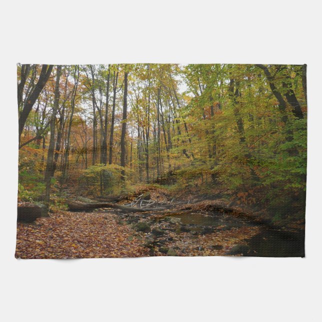 Linge De Cuisine Fall Creek à Laurel Hill State Park Pennsylvania (Horizontal)