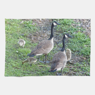Linge De Cuisine Famille canadienne d'oies