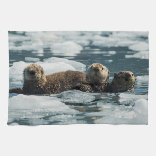 Linge De Cuisine Famille de loutres de mer