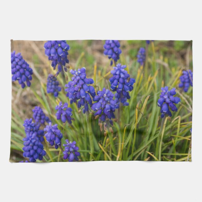Linge De Cuisine Famille de raisins Hyacinths (Horizontal)