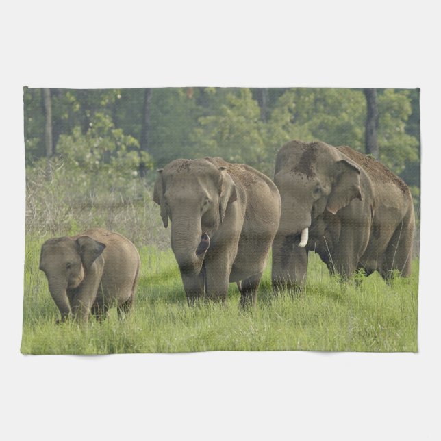 Linge De Cuisine Famille d'éléphants indiens (Horizontal)