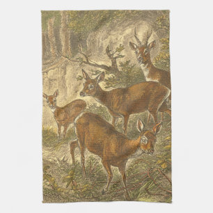 Linge De Cuisine Famille des oeufs de poisson - cerfs communs dans