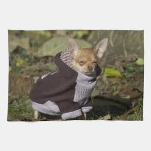 Linge De Cuisine Fancy Chihuahua
