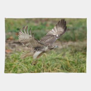 Linge De Cuisine Faucon coupé la queue par rouge non mûr