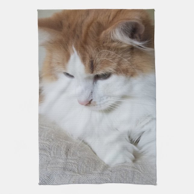 Linge De Cuisine (Feline Fancy) Contemplation Kitty : Photo Cat (Vertical)