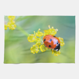Linge De Cuisine femme au sommet