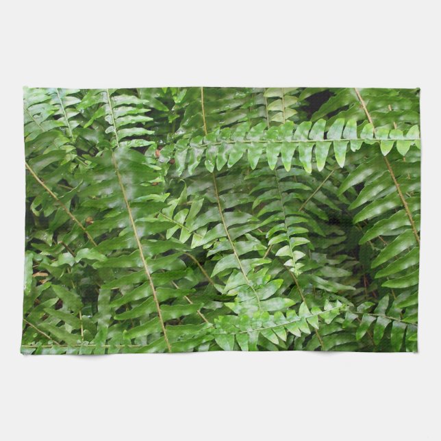 Linge De Cuisine Fermer Fronds I Green Nature (Horizontal)