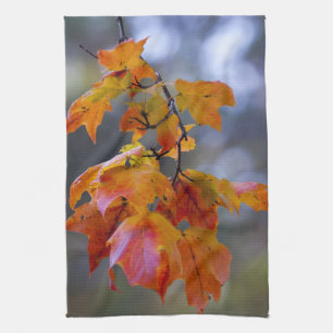 Linge De Cuisine Feuilles d'automne