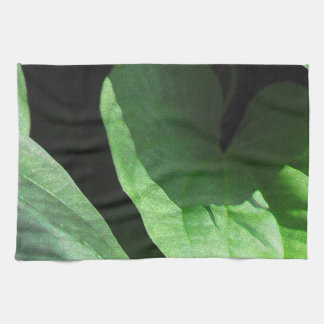 Linge De Cuisine Feuilles en gros plan dans la lumière et l'ombre