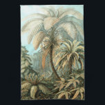 Linge De Cuisine Filicinae par Ernst Haeckel, Plantes de fougères v<br><div class="desc">Illustration vintage de la nature,  design de botanique par Ernst Haeckel représentant un design de forêt tropicale humide. Une variété de fougères exotiques dans une jungle. Les fougères sont des plantes vasculaires qui n'ont ni graines ni fleurs,  elles se reproduisent via des spores.</div>