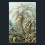 Linge De Cuisine Filicinae par Ernst Haeckel, Plantes de fougères v<br><div class="desc">Illustration vintage de la nature,  design de botanique par Ernst Haeckel représentant un design de forêt tropicale humide. Une variété de fougères exotiques dans une jungle. Les fougères sont des plantes vasculaires qui n'ont ni graines ni fleurs,  elles se reproduisent via des spores.</div>