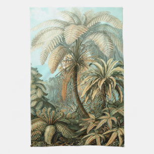 Linge De Cuisine Filicinae par Ernst Haeckel, Plantes de fougères v