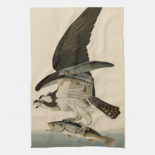 Linge De Cuisine Fish Hawk, Osprey, d'Audubon's Birds of America