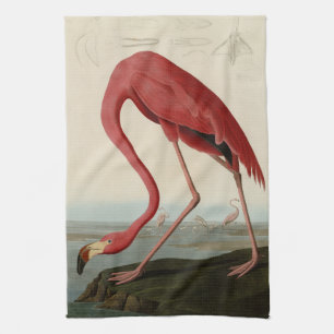 Linge De Cuisine Flamant rose américain d'Audubon's Birds of Americ