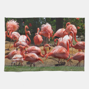 Linge De Cuisine Flamants roses roses