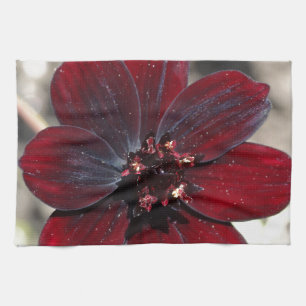 Linge De Cuisine Fleur Cosmos au chocolat