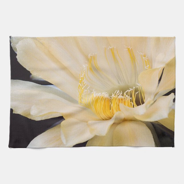 Linge De Cuisine fleur de cactus Echinopsis Charlemagne (Horizontal)