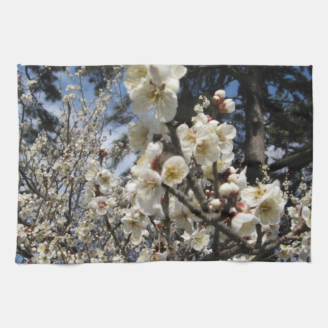 Linge De Cuisine Fleur de cerisier blanc / Sakura / ク(桜) (Horizontal)