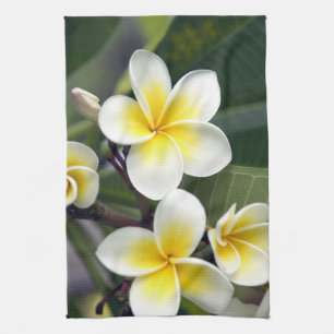 Linge De Cuisine Fleur de frangipanier Îles Cook