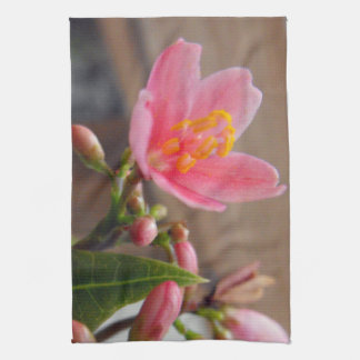 Linge De Cuisine Fleur de Jatropha Rose Clair