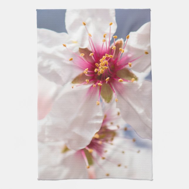 Linge De Cuisine Fleur de l'amandier (Vertical)