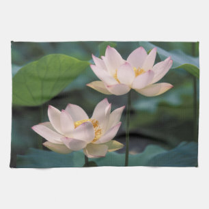 Linge De Cuisine Fleur de Lotus en fleurs, Chine