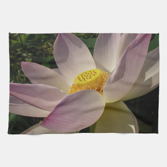 Linge De Cuisine Fleur de lotus rose III Florale d'été (Horizontal)