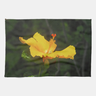 Linge De Cuisine Fleur d'Hibiscus Orange