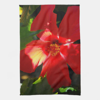 Linge De Cuisine Fleur d'Hibiscus rouge au soleil