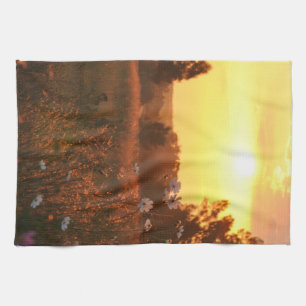 Linge De Cuisine Fleurs de cosmos au coucher du soleil