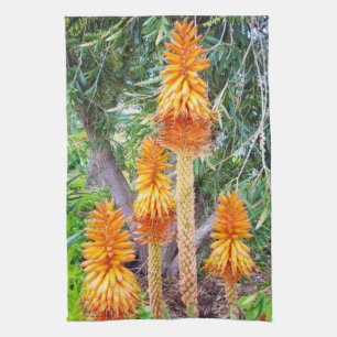 Linge De Cuisine Fleurs d'Orange Hot Poker,