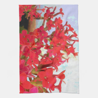 Linge De Cuisine Fleurs rouges de Kalanchoe