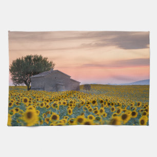 Linge De Cuisine Fleurs Sunflower Field Provence, France
