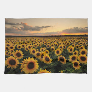 Linge De Cuisine Fleurs Terrain de tournesol