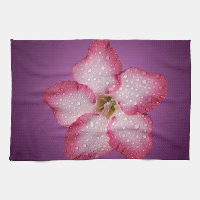 Linge De Cuisine Flore rose Adenium Violet rayé (Horizontal)