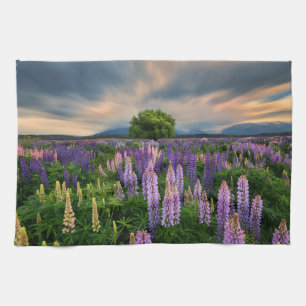 Linge De Cuisine Flowers (homonymie) Lupine Field à New Zealand