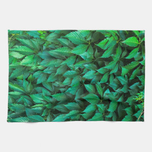 Linge De Cuisine fond de haie verte parthenocissus motif texte
